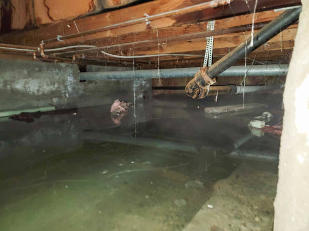 Best Sewage cleanup and water damage restoration  in Mountain House, CA