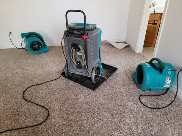 Best Mold removal after water damage  in Mountain House, CA