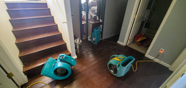  Mountain House, CA Water damage restoration Pros