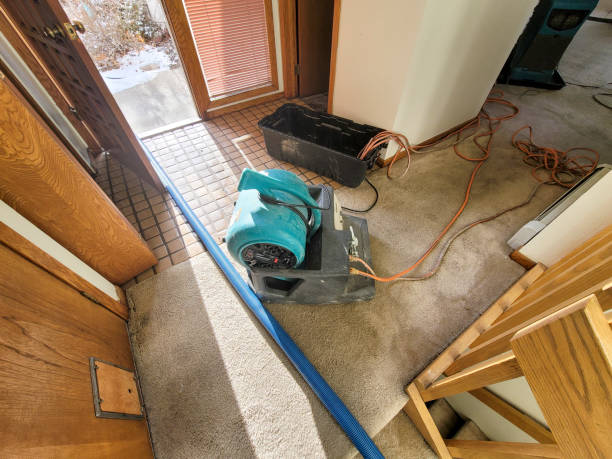Best 24/7 water damage repair  in Mountain House, CA