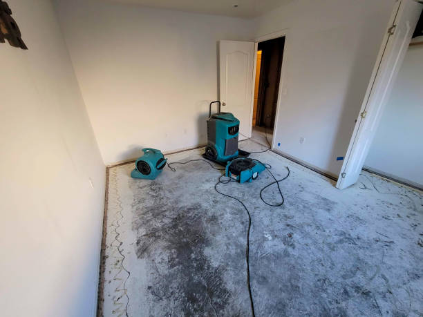 Best Basement water damage restoration  in Mountain House, CA