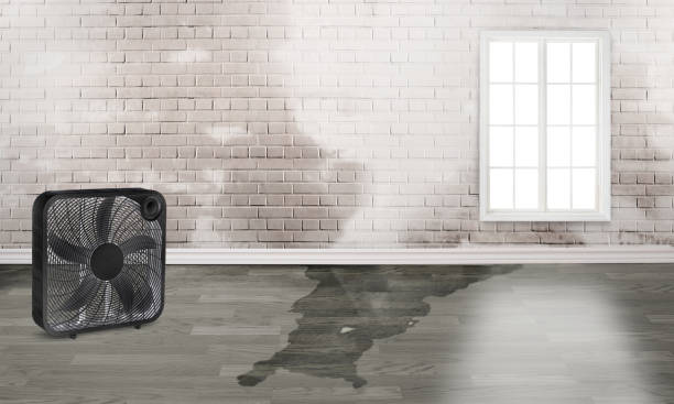 Best Carpet water damage restoration  in Mountain House, CA