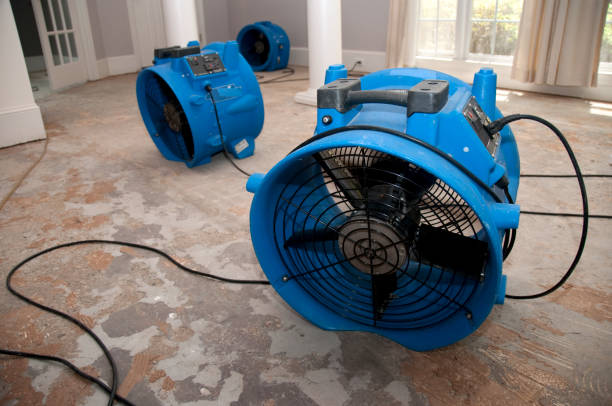 Best Ceiling water damage repair  in Mountain House, CA