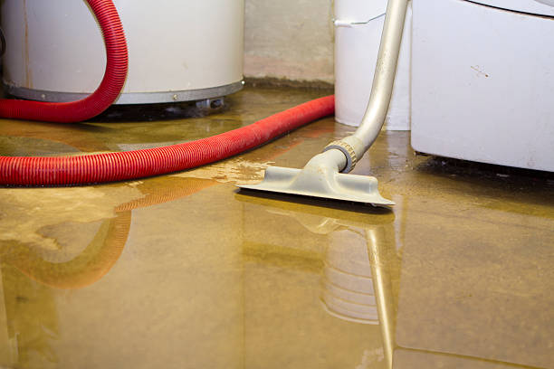 Best Water damage cleanup near me  in Mountain House, CA
